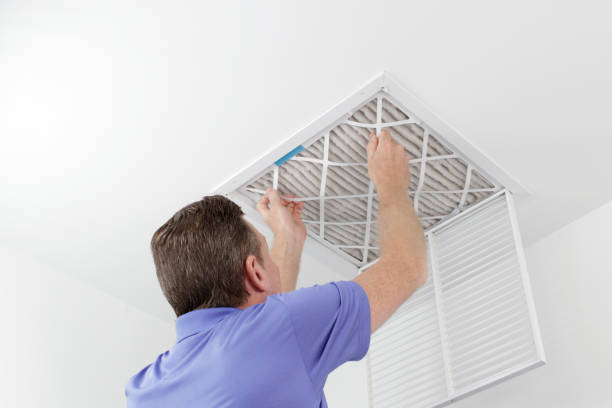 Best Air Duct Sanitizing Services  in Monte Vista, CO